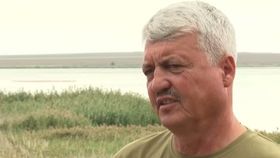VIDEO Record de păsări flamingo în Delta Dunării. Peste o mie de exemplare pe lacul Nuntaș